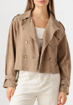 taupe alter ego jack florien