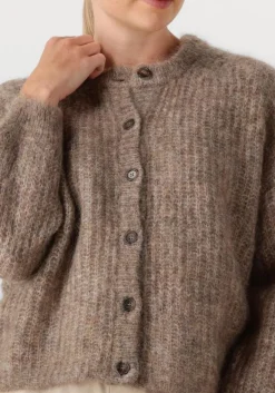 taupe des petits hauts trui alma