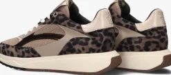 taupe floris van bommel lage sneakers sfw-10138 suvi