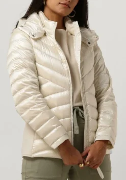 witte beaumont jack devi