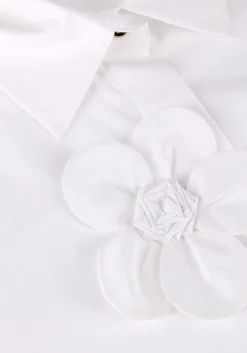 witte caroline biss blouses 1616