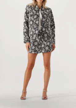 witte ibana jack jaidy