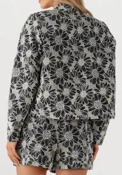 witte ibana jack jaidy