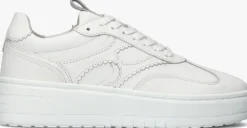 witte notre-v lage sneakers anemone-63