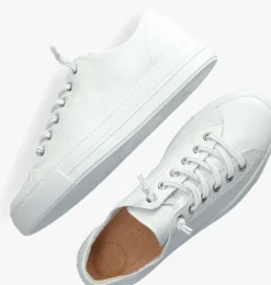 witte paul green lage sneakers 4081