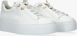 witte paul green lage sneakers 5017