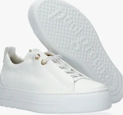 witte paul green lage sneakers 5017