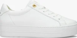 witte paul green lage sneakers 5241