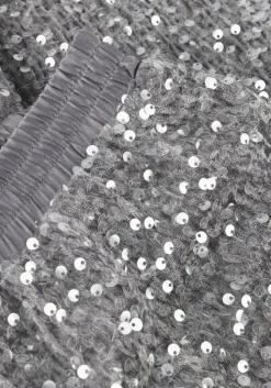 zilveren summum broeken pants sequins velour