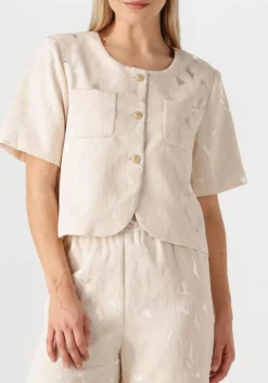 zilverkleurig amaya amsterdam blazer silver