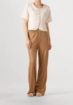 zilverkleurig amaya amsterdam blazer silver