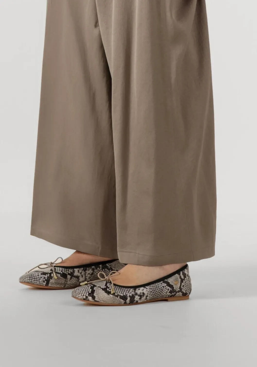 zwarte fred de la bretoniere ballerina's idris balletto