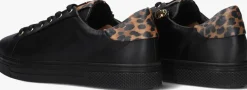 zwarte hassia lage sneakers asti