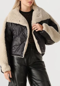 zwarte ibana jack caeli