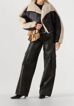 zwarte ibana jack caeli