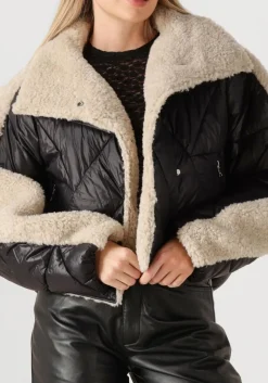 zwarte ibana jack caeli