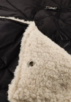 zwarte ibana jack caeli