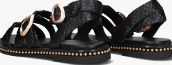 zwarte noa harmon sandalen 9737