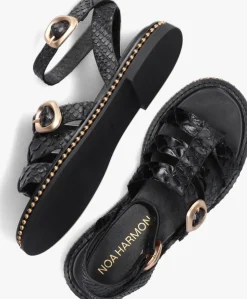 zwarte noa harmon sandalen 9737