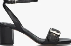 zwarte toral sandalen met hak melissa led