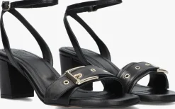 zwarte toral sandalen met hak melissa led