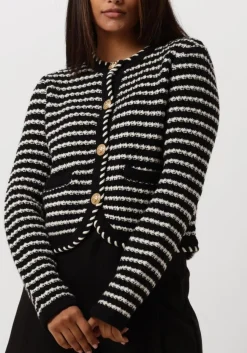 zwarte vanessa bruno truien/vesten daya